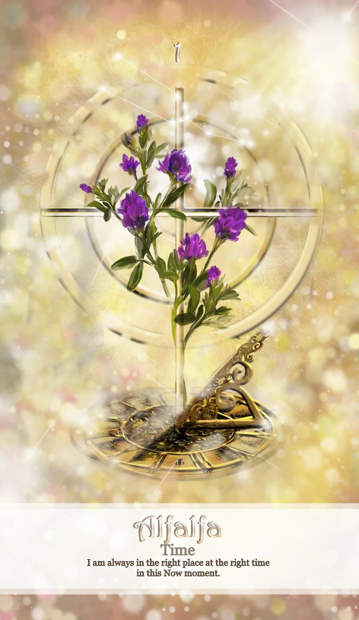 Golden Light Oracle card 1, Alfalfa
